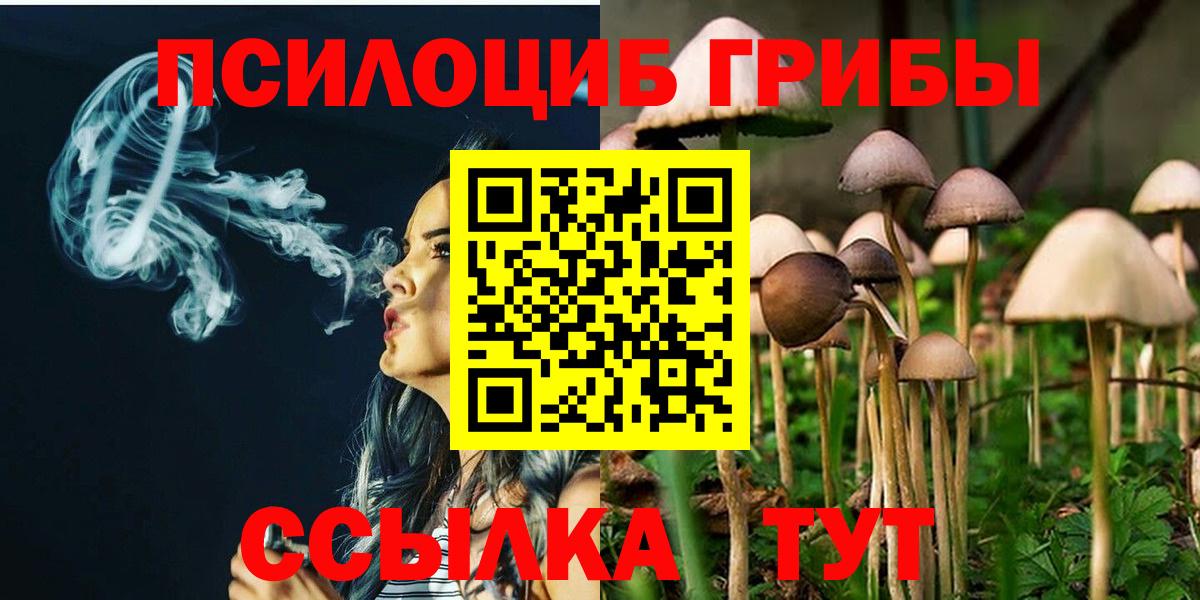 Луга  Псилоцибиновые грибы прущие грибы  Вход с VPN 