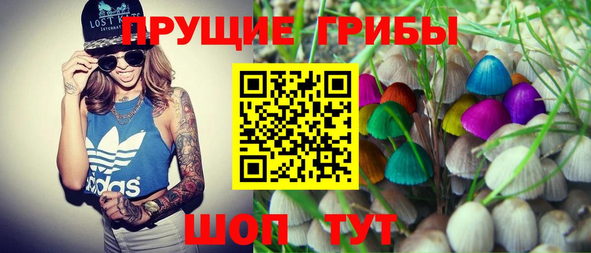 ГАШИШ Луга